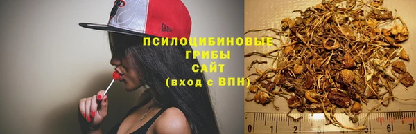 spice Верхний Тагил