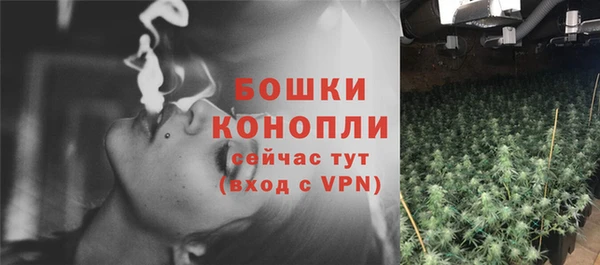 spice Верхний Тагил