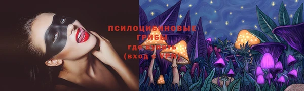 стафф Верея
