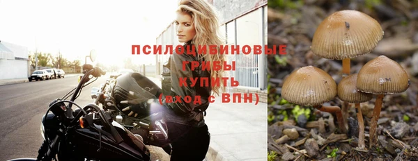 spice Верхний Тагил
