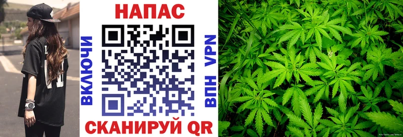 Конопля Bruce Banner  Лысково 